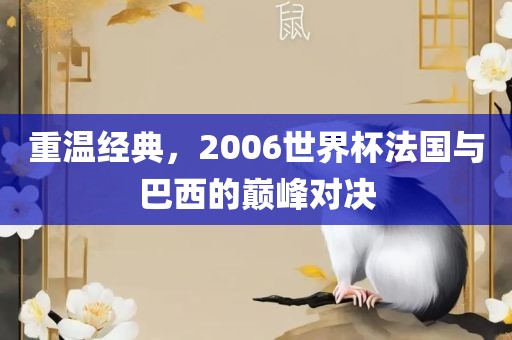 重温经典，2006世界杯法国与巴西的巅峰对决