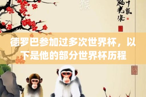 德罗巴参加过多次世界杯，以下是他的部分世界杯历程