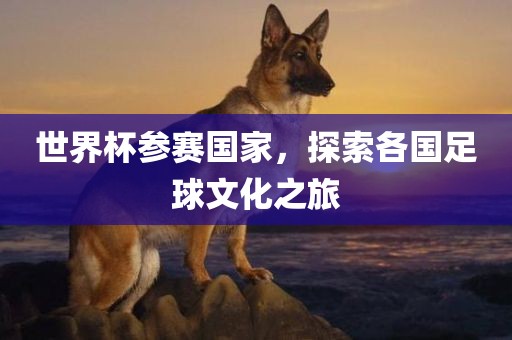 世界杯参赛国家，探索各国足球文化之旅