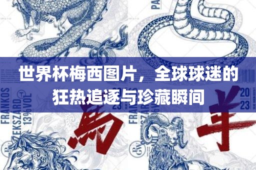 世界杯梅西图片，全球球迷的狂热追逐与珍藏瞬间