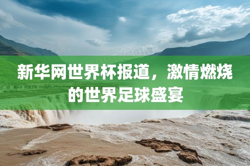 新华网世界杯报道，激情燃烧的世界足球盛宴