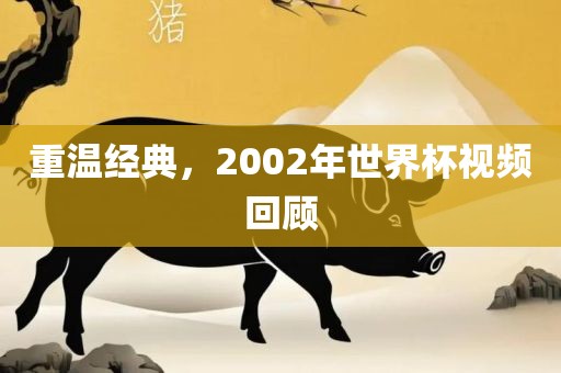 重温经典，2002年世界杯视频回顾