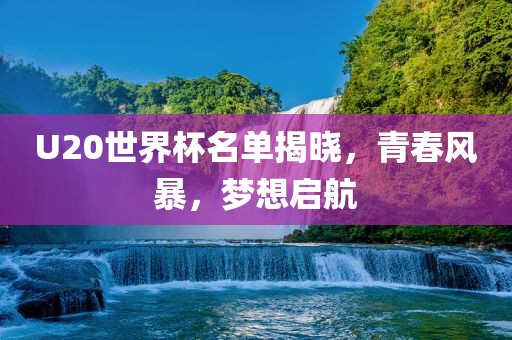 U20世界杯名单揭晓，青春风暴，梦想启航