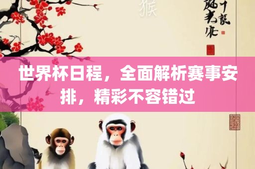 世界杯日程，全面解析赛事安排，精彩不容错过