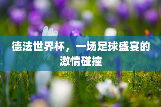 德法世界杯，一场足球盛宴的激情碰撞