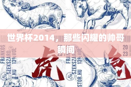 世界杯2014，那些闪耀的帅哥瞬间