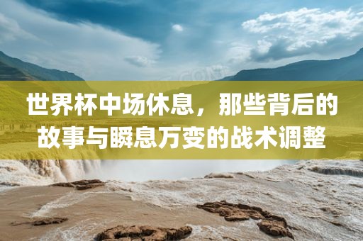 世界杯中场休息，那些背后的故事与瞬息万变的战术调整