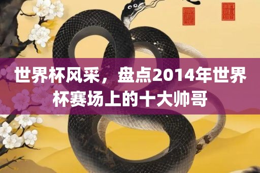 世界杯风采，盘点2014年世界杯赛场上的十大帅哥