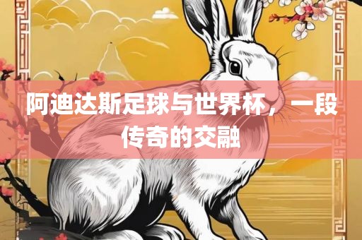 阿迪达斯足球与世界杯，一段传奇的交融