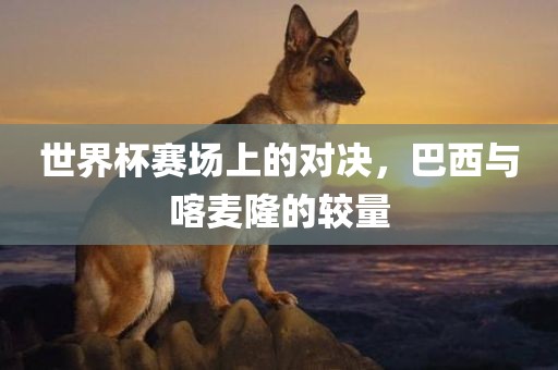 世界杯赛场上的对决，巴西与喀麦隆的较量
