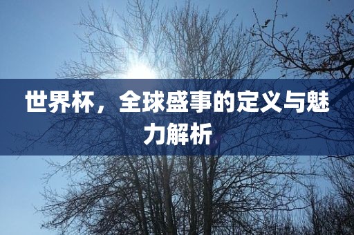 世界杯，全球盛事的定义与魅力解析