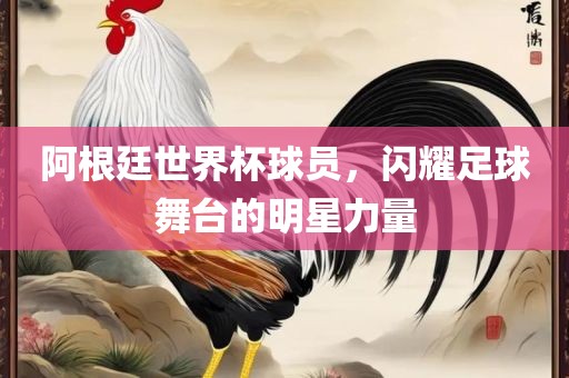 阿根廷世界杯球员，闪耀足球舞台的明星力量