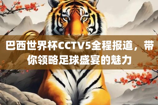 巴西世界杯CCTV5全程报道，带你领略足球盛宴的魅力