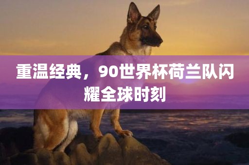 重温经典，90世界杯荷兰队闪耀全球时刻