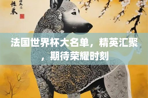 法国世界杯大名单，精英汇聚，期待荣耀时刻