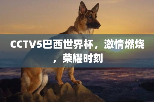 CCTV5巴西世界杯，激情燃烧，荣耀时刻