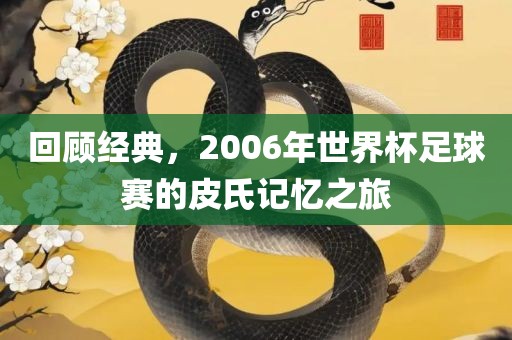 回顾经典，2006年世界杯足球赛的皮氏记忆之旅
