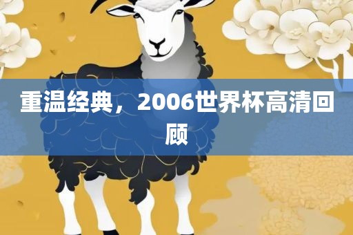 重温经典，2006世界杯高清回顾