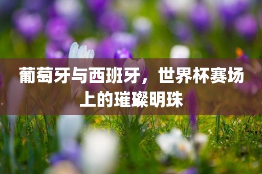 葡萄牙与西班牙，世界杯赛场上的璀璨明珠