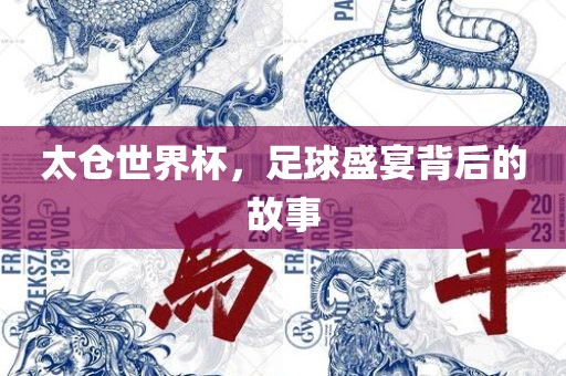 太仓世界杯，足球盛宴背后的故事
