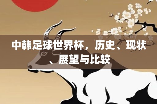 中韩足球世界杯，历史、现状、展望与比较