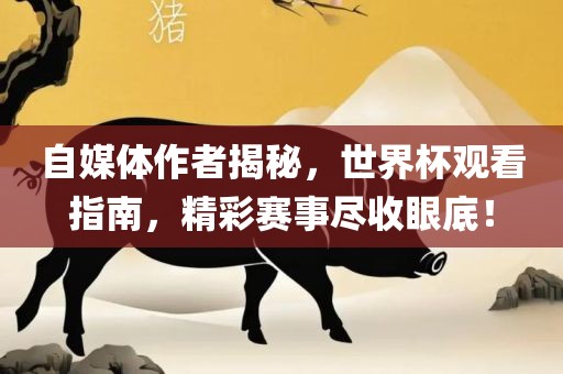 自媒体作者揭秘，世界杯观看指南，精彩赛事尽收眼底！
