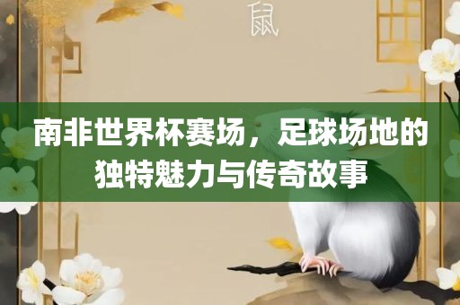 南非世界杯赛场，足球场地的独特魅力与传奇故事
