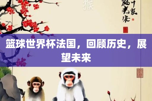 篮球世界杯法国，回顾历史，展望未来