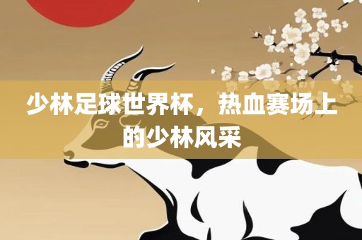 少林足球世界杯，热血赛场上的少林风采