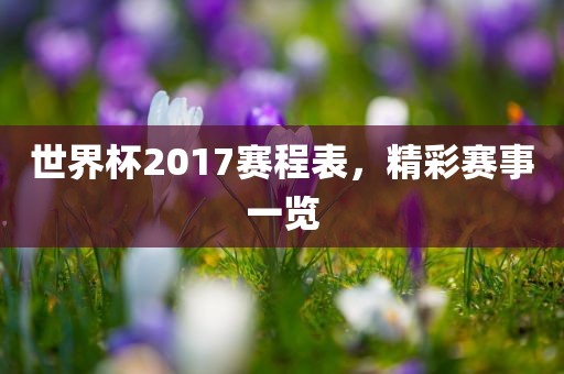世界杯2017赛程表，精彩赛事一览
