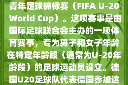 德国U20足球队参加的是U20世界杯足球赛，也被称为世界青年足球锦标赛（FIFA U-20 World Cup）。这项赛事是由国际足球联合会主办的一项体育赛事，专为男子和女子年龄在特定年龄段（通常为U-20年龄段）的足球运动员设立。德国U20足球队代表德国参加这项赛事，旨在展示德国青年足球的潜力和实力。