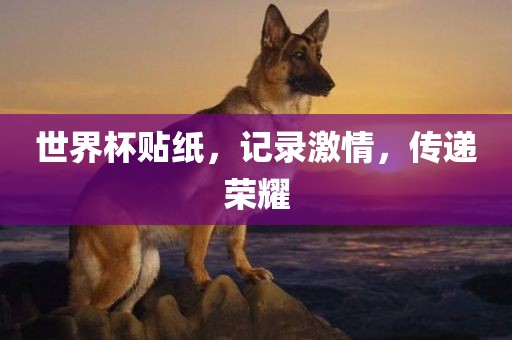 世界杯贴纸，记录激情，传递荣耀