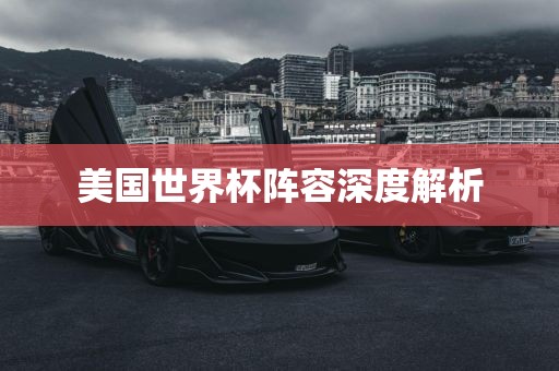 美国世界杯阵容深度解析
