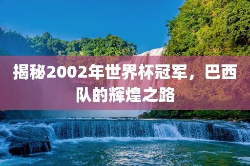 揭秘2002年世界杯冠军，巴西队的辉煌之路