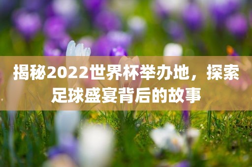 揭秘2022世界杯举办地，探索足球盛宴背后的故事