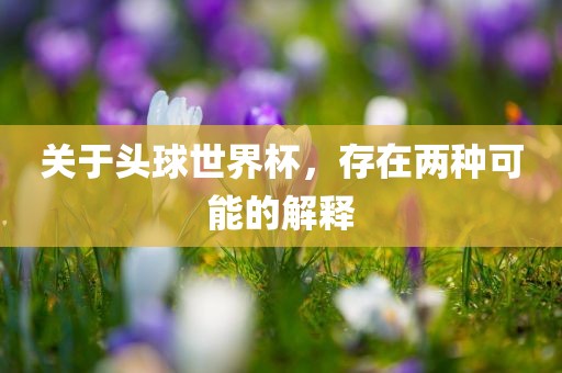 关于头球世界杯，存在两种可能的解释