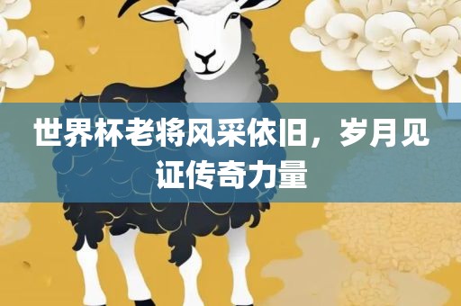 世界杯老将风采依旧，岁月见证传奇力量