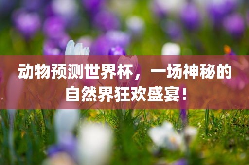动物预测世界杯，一场神秘的自然界狂欢盛宴！