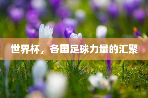 世界杯，各国足球力量的汇聚