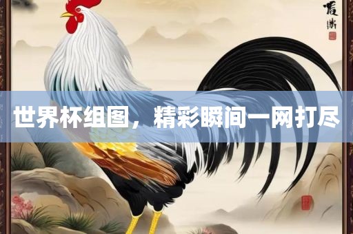 世界杯组图，精彩瞬间一网打尽