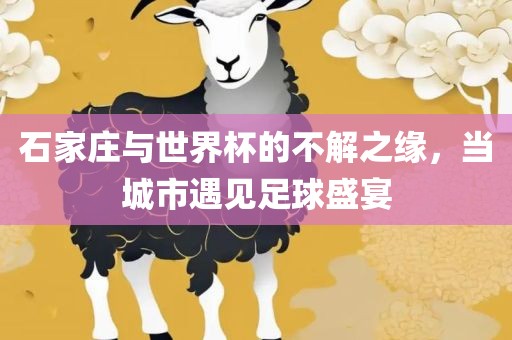 石家庄与世界杯的不解之缘，当城市遇见足球盛宴