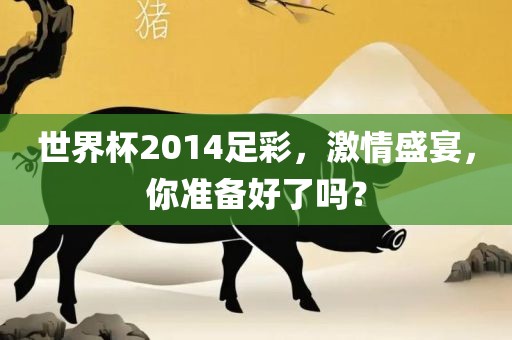 世界杯2014足彩，激情盛宴，你准备好了吗？