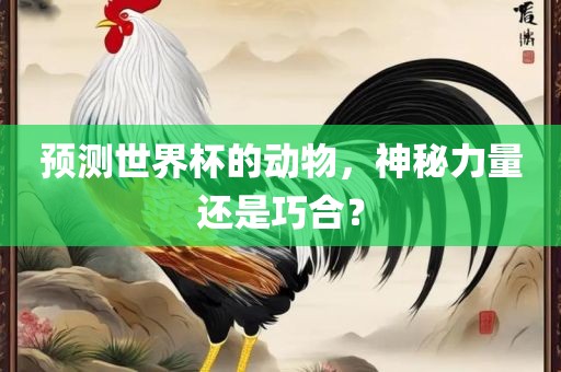 预测世界杯的动物，神秘力量还是巧合？