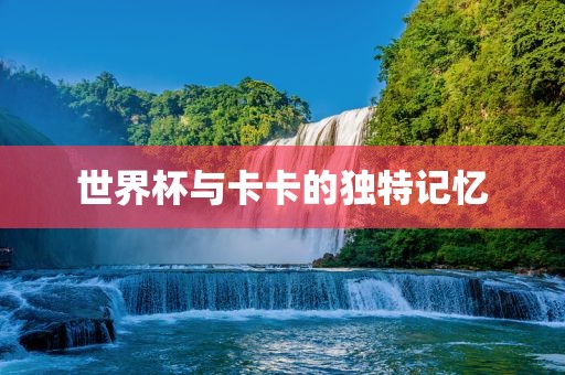 世界杯与卡卡的独特记忆