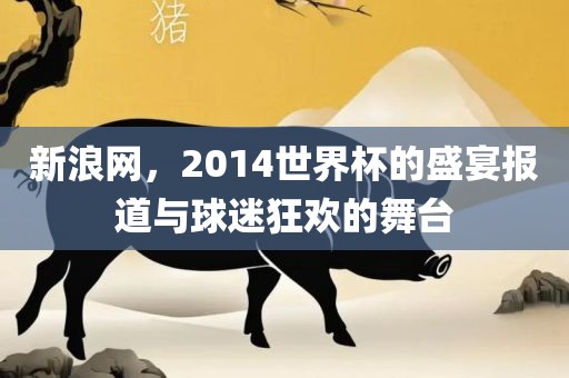 新浪网，2014世界杯的盛宴报道与球迷狂欢的舞台