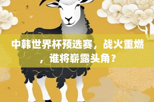 中韩世界杯预选赛，战火重燃，谁将崭露头角？