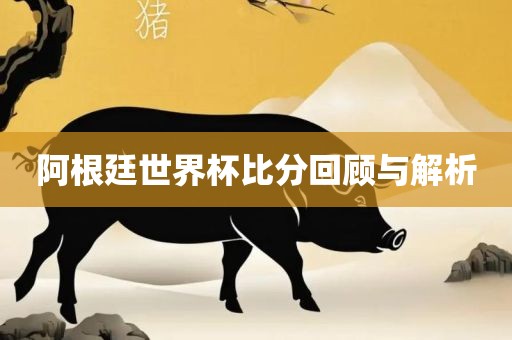 阿根廷世界杯比分回顾与解析