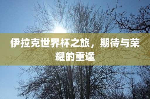 伊拉克世界杯之旅，期待与荣耀的重逢