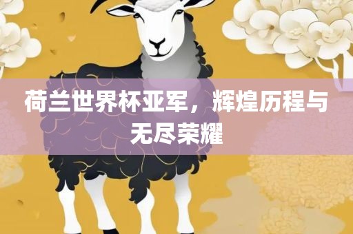 荷兰世界杯亚军，辉煌历程与无尽荣耀