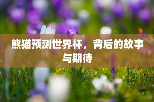 熊猫预测世界杯，背后的故事与期待